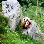 Chaleureux A Avec Terrasse, Barbecue Et Proche Des Pistes De - Fr-1-589-189 La Bresse