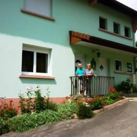 Chaleureux A Avec Terrasse, Barbecue Et Proche Des Pistes De - Fr-1-589-189 Dom wakacyjny La Bresse