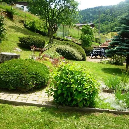 Kır Evi Chaleureux A Avec Terrasse, Barbecue Et Proche Des Pistes De - Fr-1-589-189