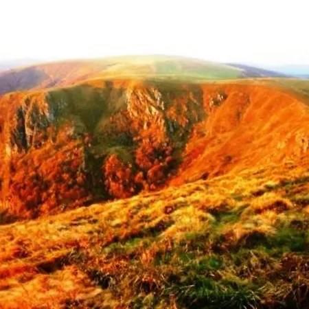 Chaleureux A Avec Terrasse, Barbecue Et Proche Des Pistes De - Fr-1-589-189 *