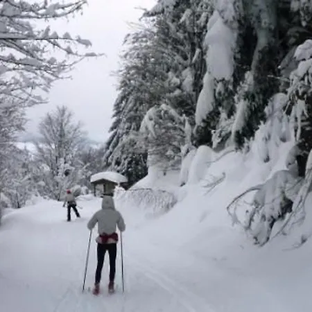 בית נופש Chaleureux A Avec Terrasse, Barbecue Et Proche Des Pistes De - Fr-1-589-189 *