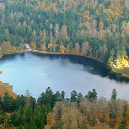Chaleureux A Avec Terrasse, Barbecue Et Proche Des Pistes De - Fr-1-589-189 Dom wakacyjny La Bresse