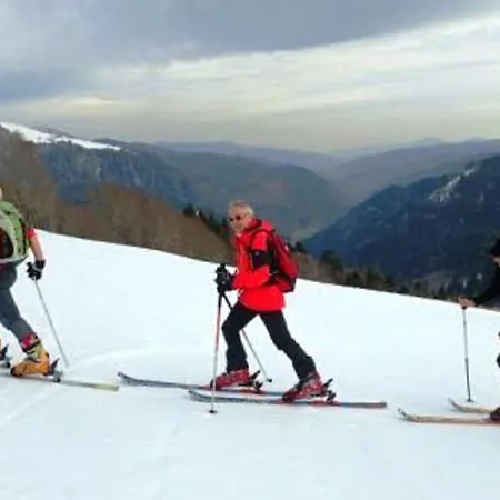 Prázdninový dům Chaleureux A Avec Terrasse, Barbecue Et Proche Des Pistes De - Fr-1-589-189 *
