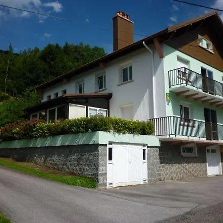 Chaleureux A Avec Terrasse, Barbecue Et Proche Des Pistes De - Fr-1-589-189 別荘 *