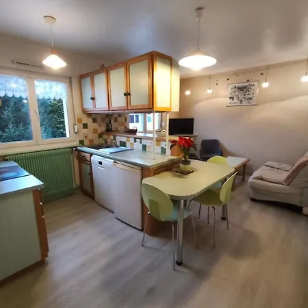 Chaleureux A Avec Terrasse, Barbecue Et Proche Des Pistes De - Fr-1-589-189 * La Bresse